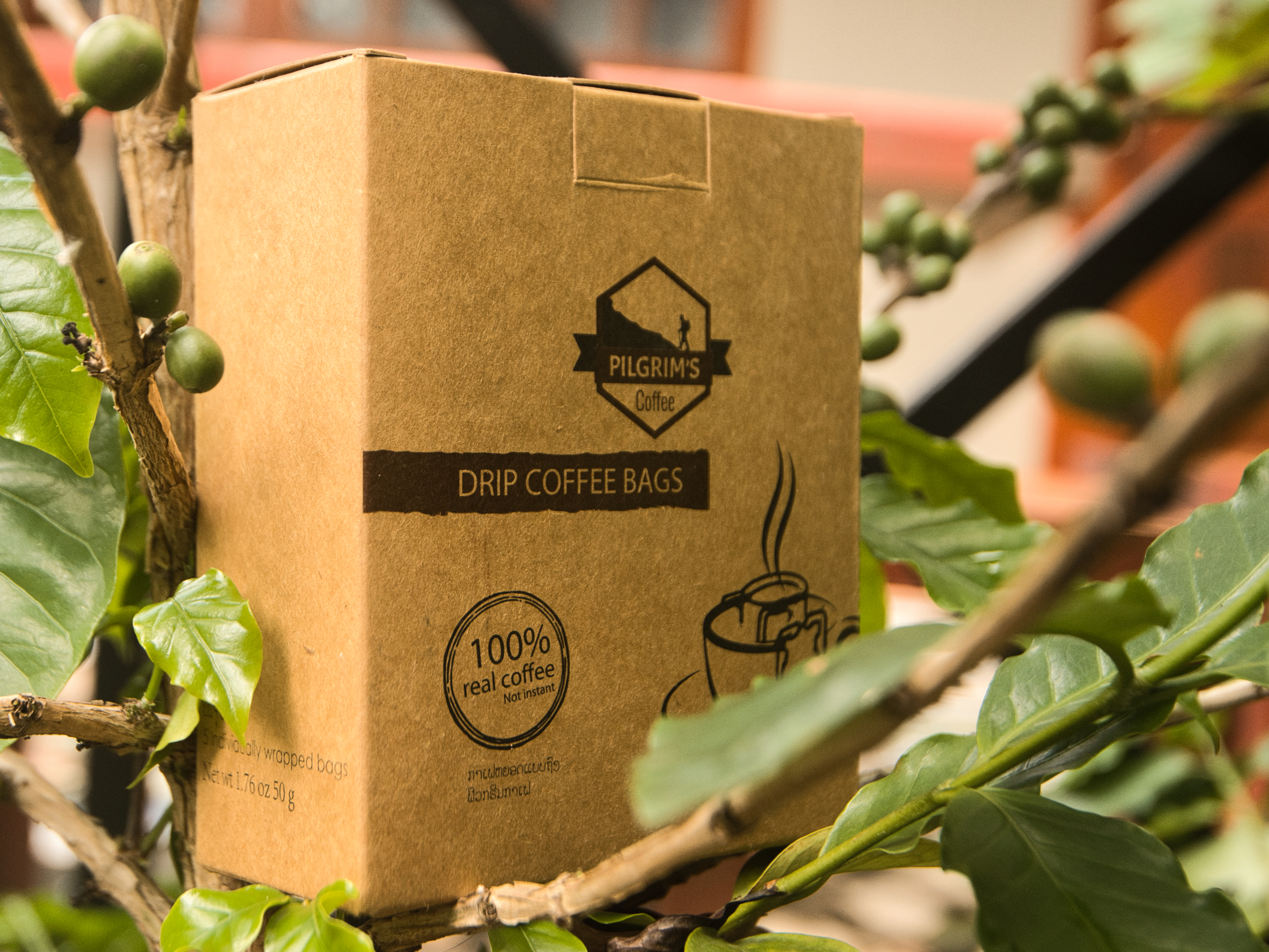 ກາເຟ ພິລກຣິມສ໌