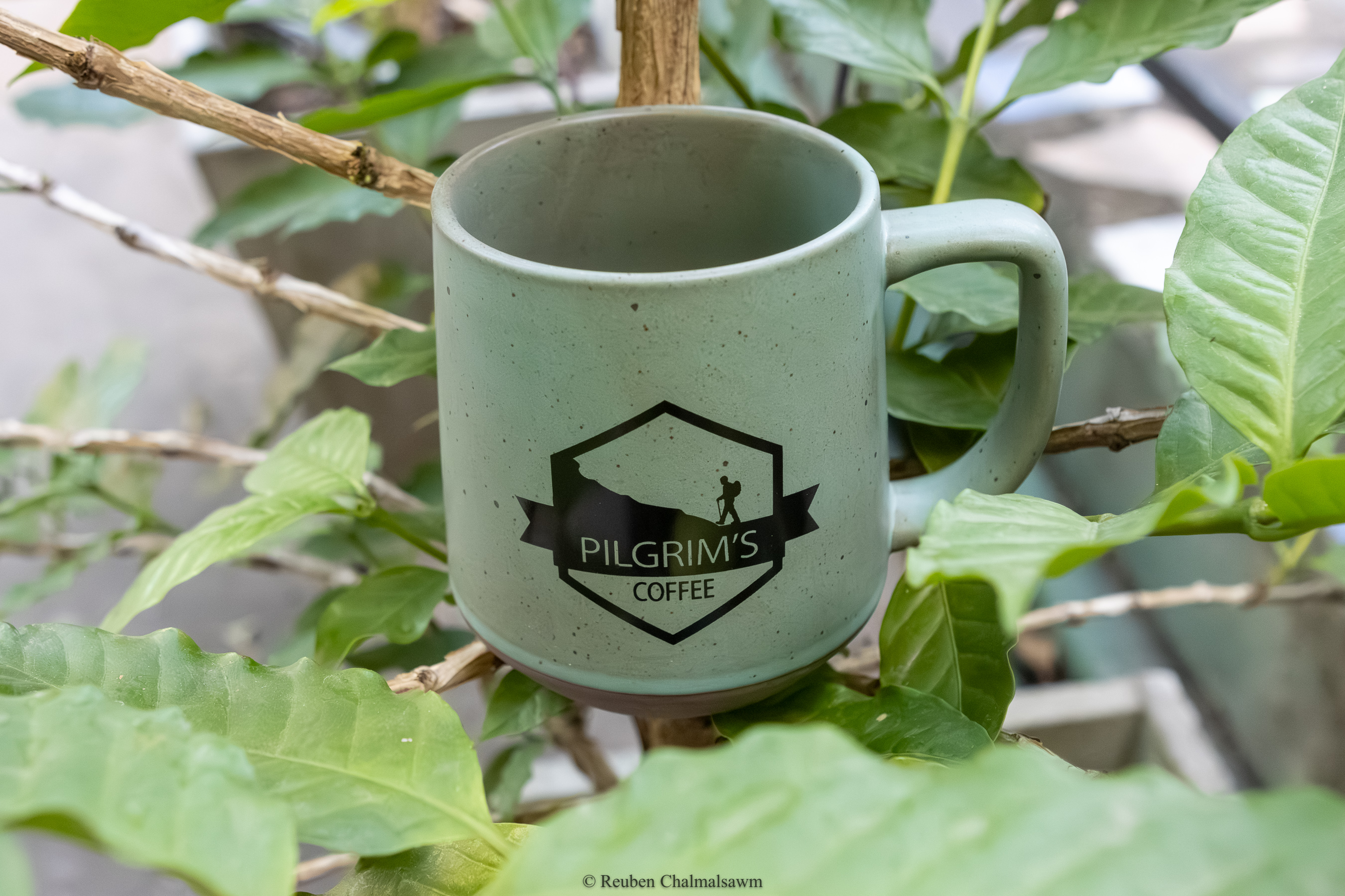 ຈອກກາເຟ