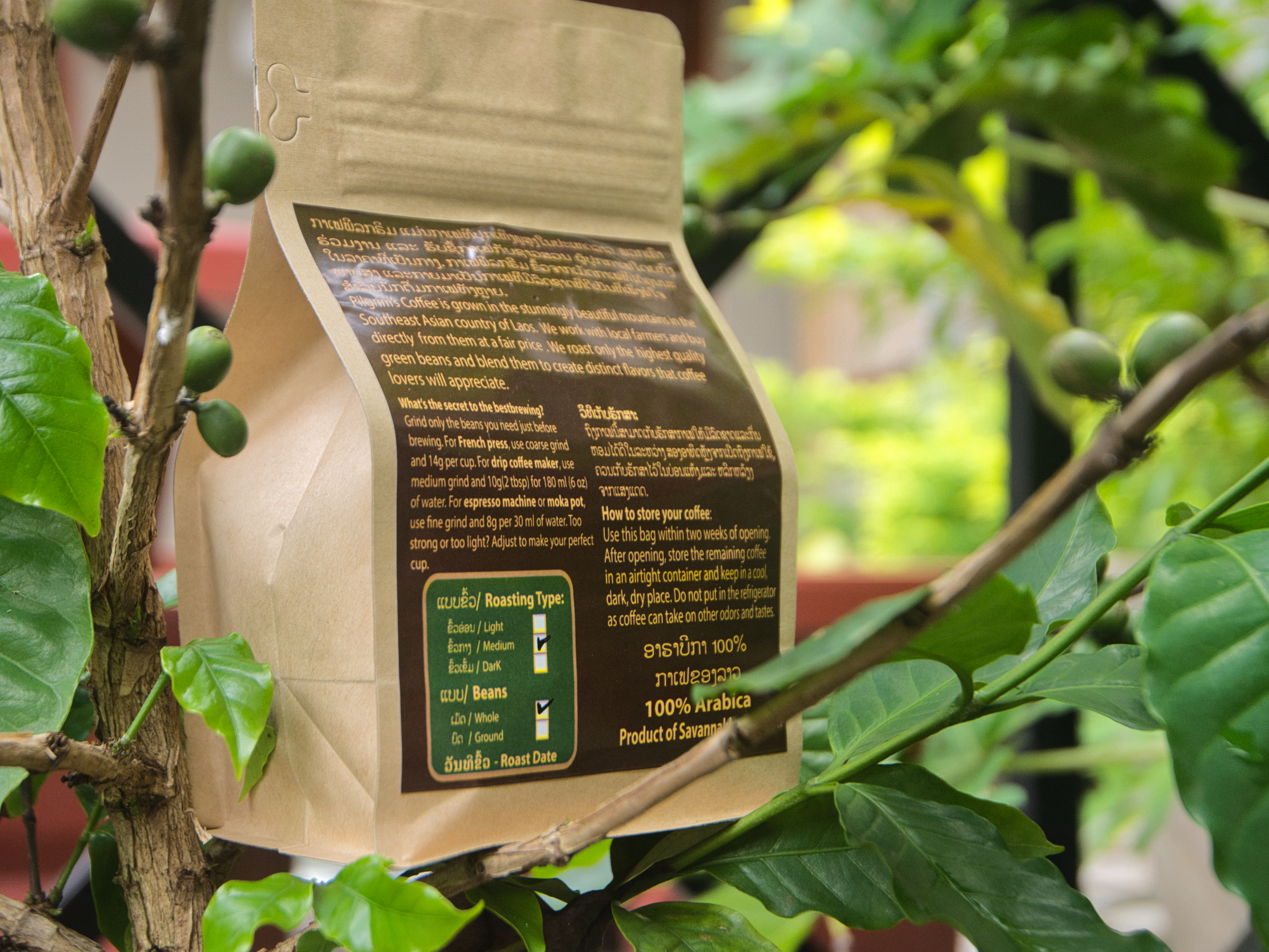 Coffee Beans / Ground 250g